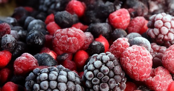 Rood fruit bij Energy Food Ingredients
