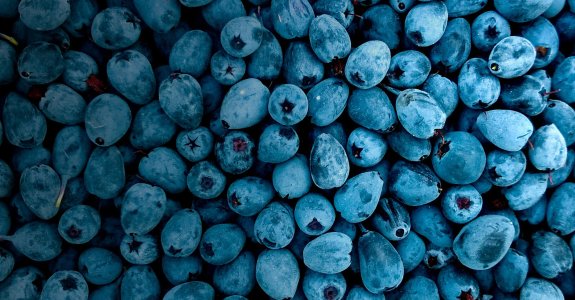 Fruit Juice Concentrates