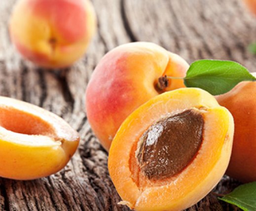 Apricot