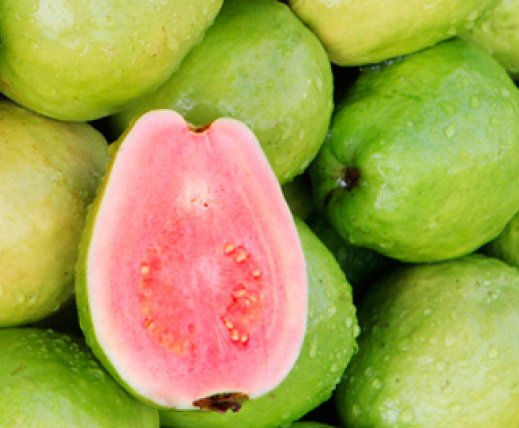 Guava