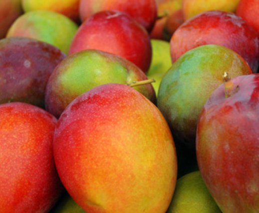 Mango