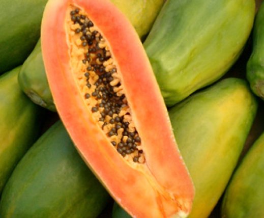 Papaya