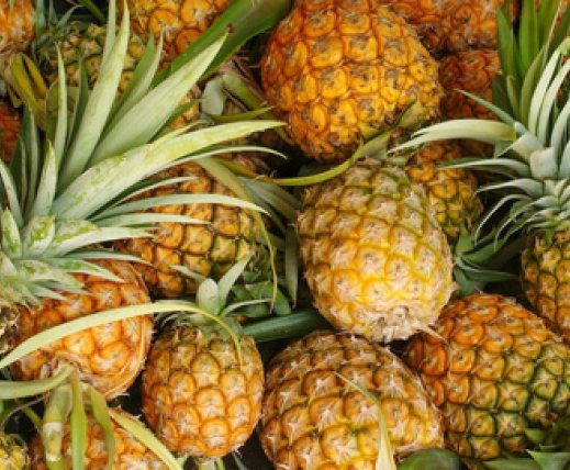 Pineapple