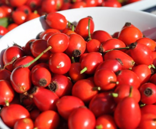 Rosehip