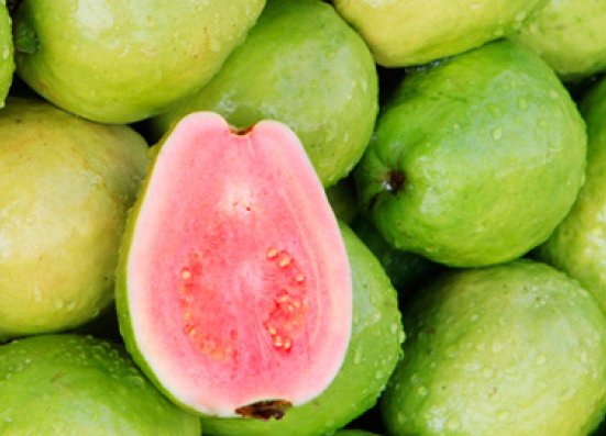 Guava