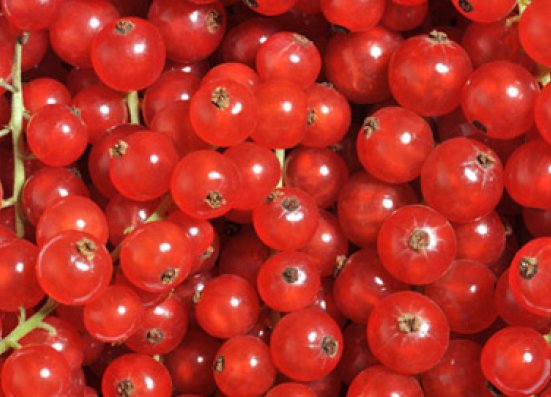 Red currant	