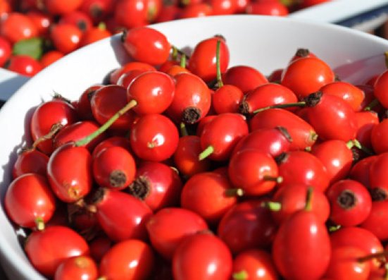Rosehip
