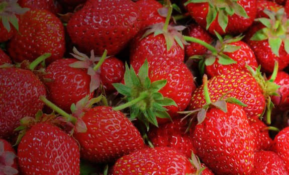 About Energy Food Ingredients