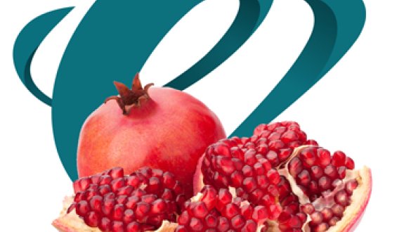 Energy Food Ingrediënts te Breda