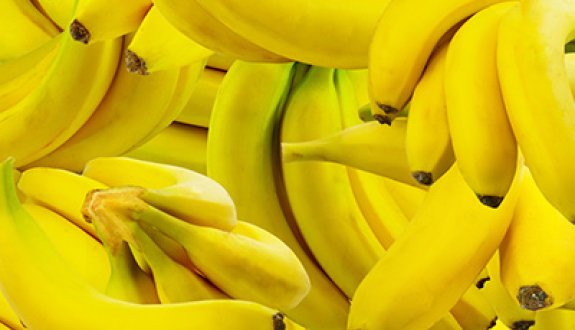 Puree concentrate - Energy Food Ingredients